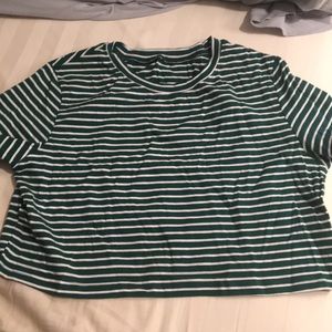 Green/White striped short sleeved crop top
